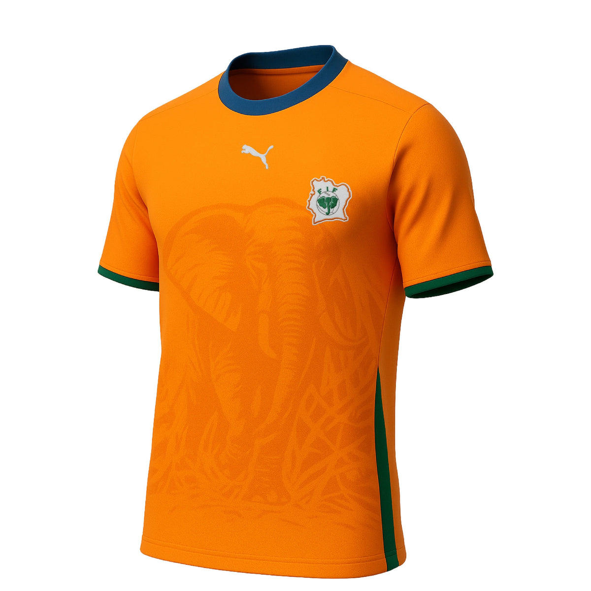 Ivory Coast 2006-2007 Home (New) - Size S